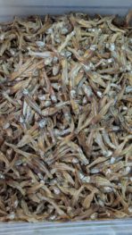 সল্টিকার প্রিমিয়াম কাচকি শুটকি - Image 3